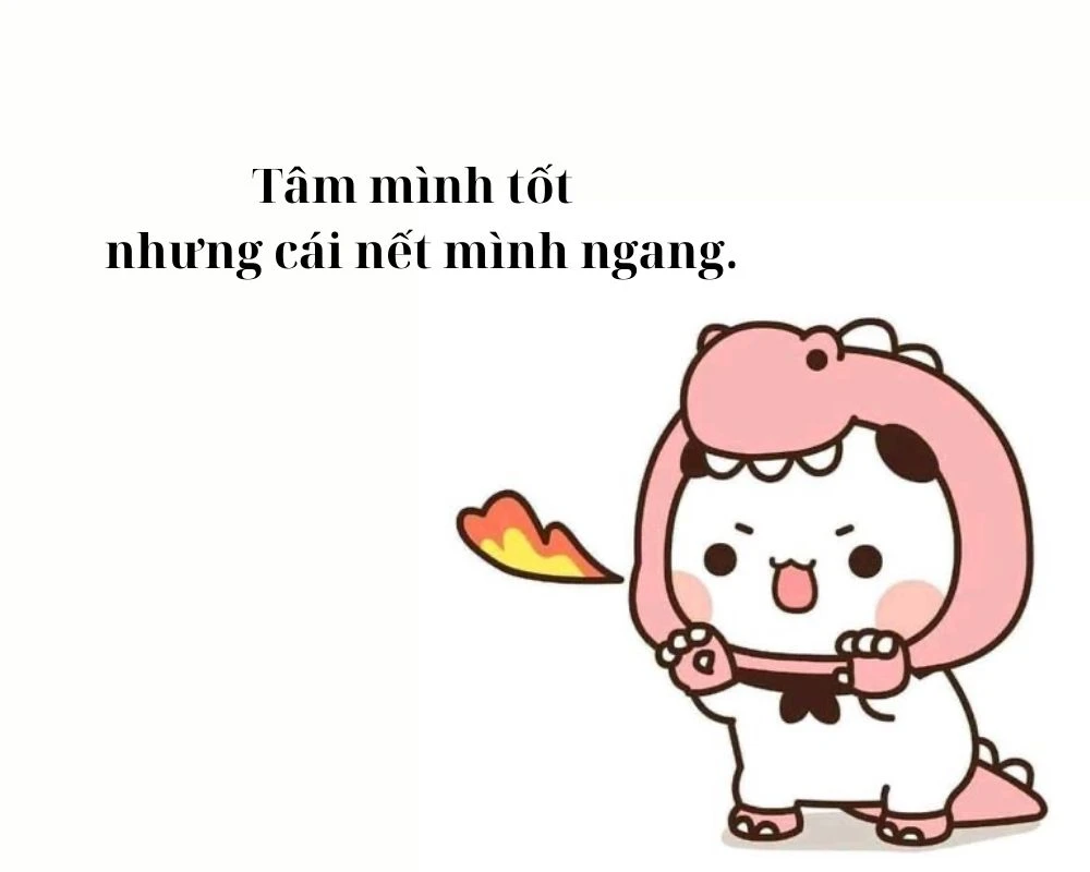 Cap ngang ngược về cuộc sống vui vẻ