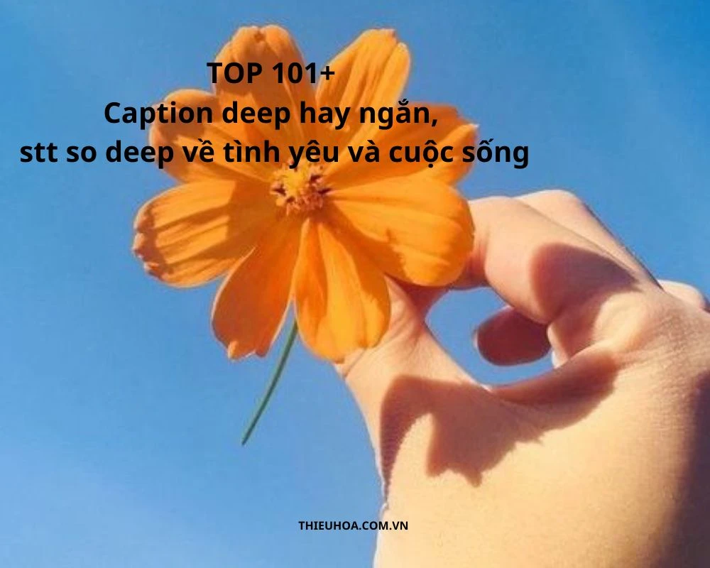 Top 101+ Caption, stt deep hay ngắn về tình yêu và cuộc sống