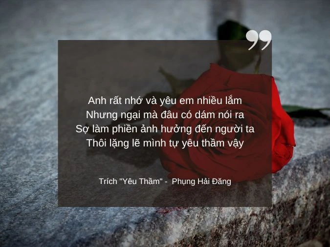 tho-tinh-yeu-don-phuong-tuoi-hoc-tro-04