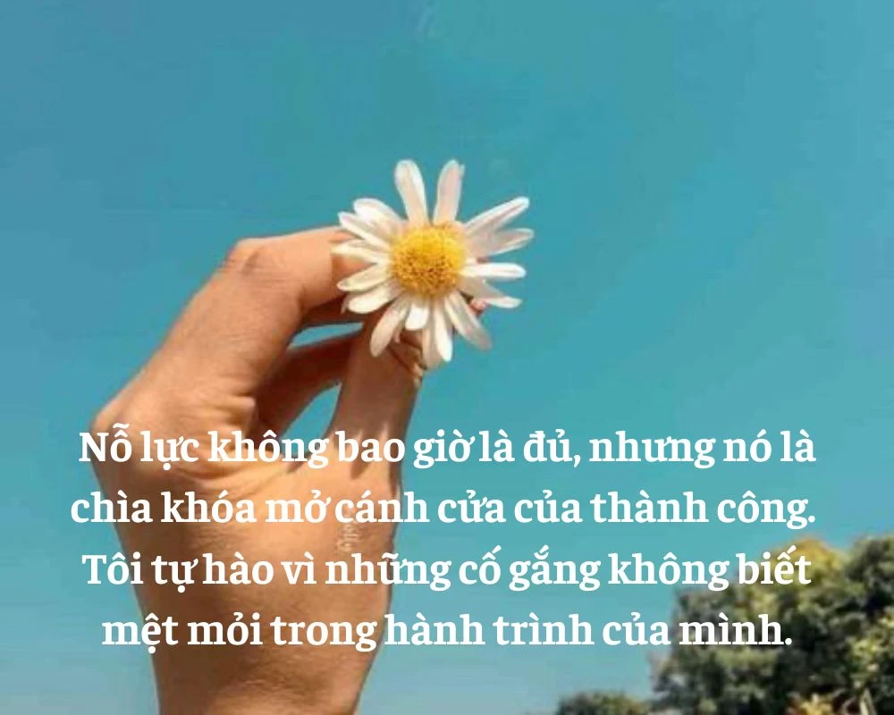 Những câu nói hay về lòng biết ơn sự nỗ lực của bản thân