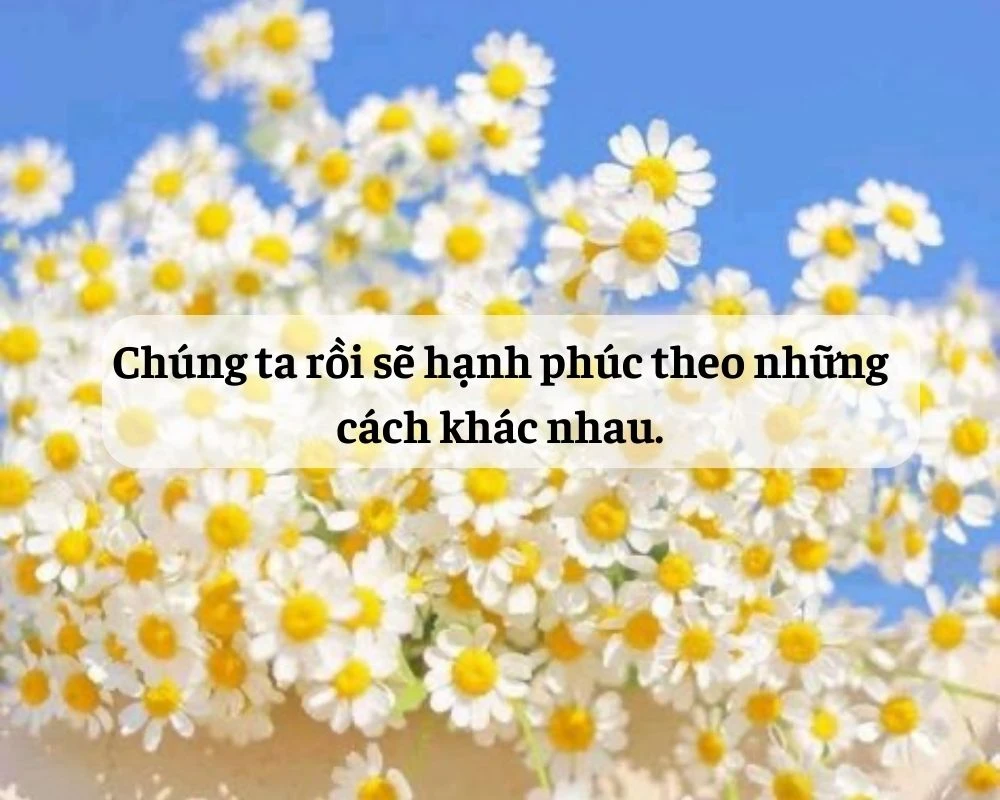 Những câu nói chạm đến trái tim bạn đọc nhẹ nhàng nhất