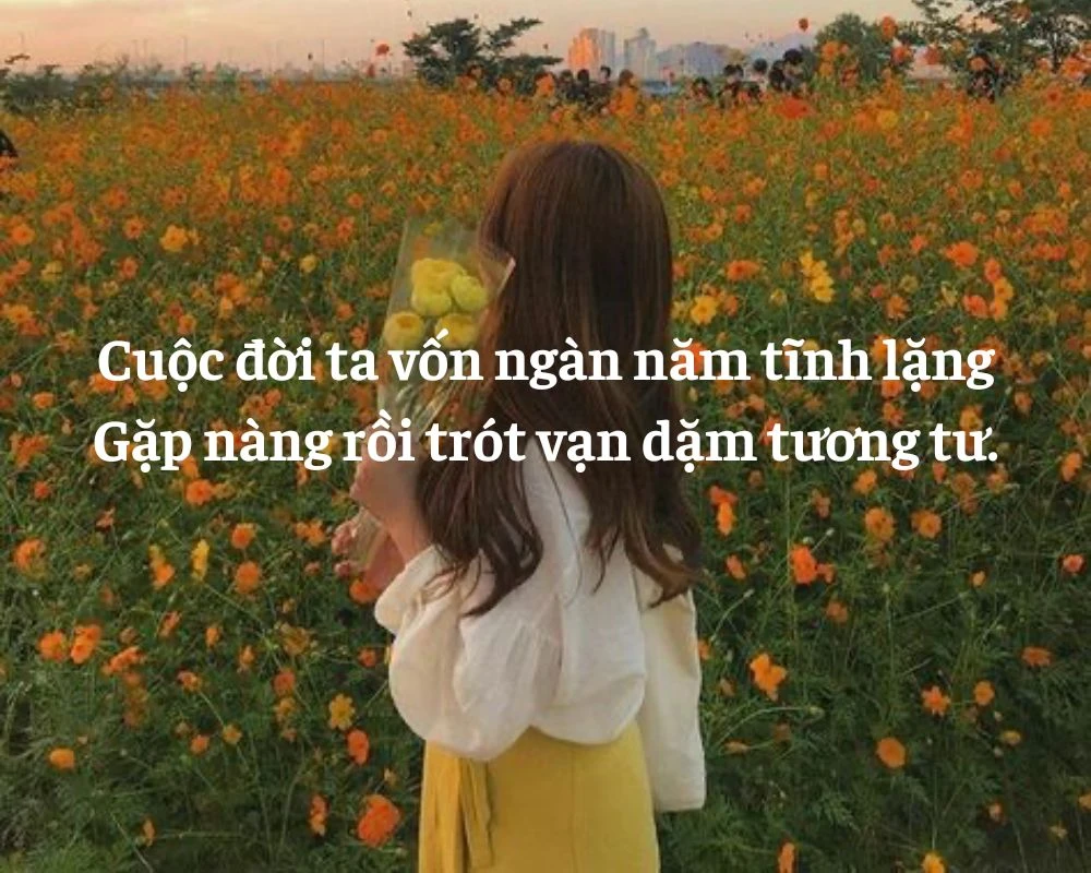 Stt, Cap tương tư crush độc đáo