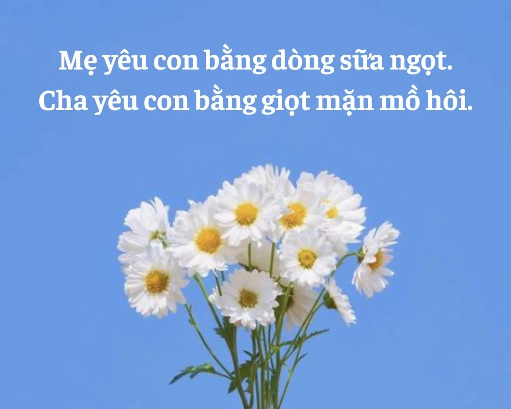 Những câu nói hay về lòng biết ơn cha mẹ