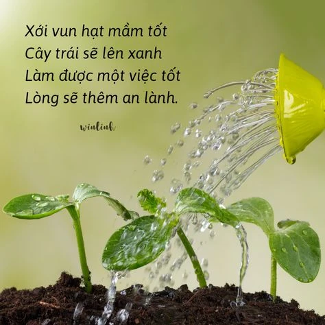 Những câu nói chữa lành tâm hồn tiếng Anh 