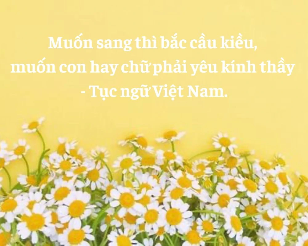 Những câu nói hay về lòng biết ơn thầy cô giáo