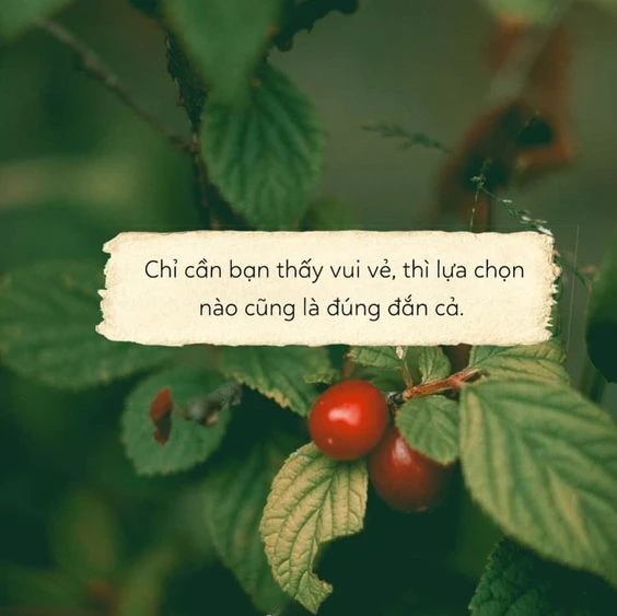 Tus, stt sống ảo thả thính dành tặng crush