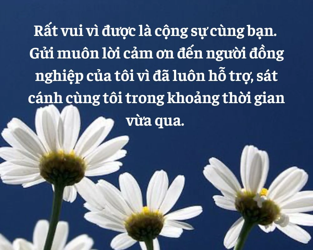 Những câu nói hay về lòng biết ơn bạn bè, đồng nghiệp