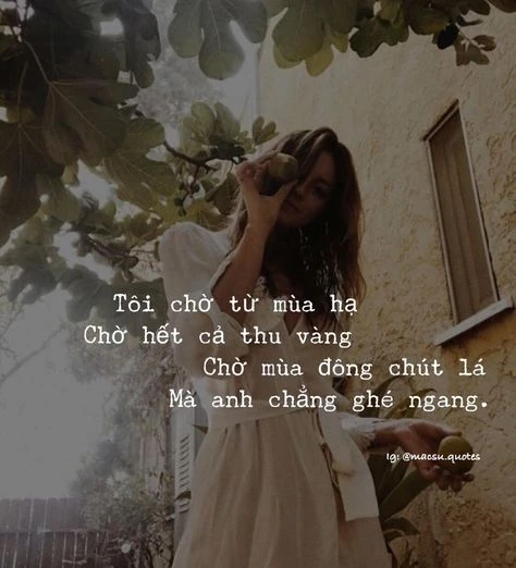 Stt chờ đợi ngắn gọn và ý nghĩa nhất