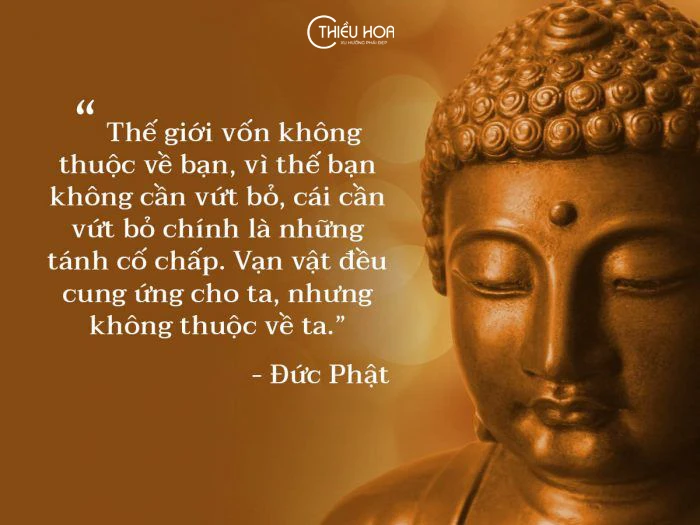 Những Câu Nói Hay Của Phật