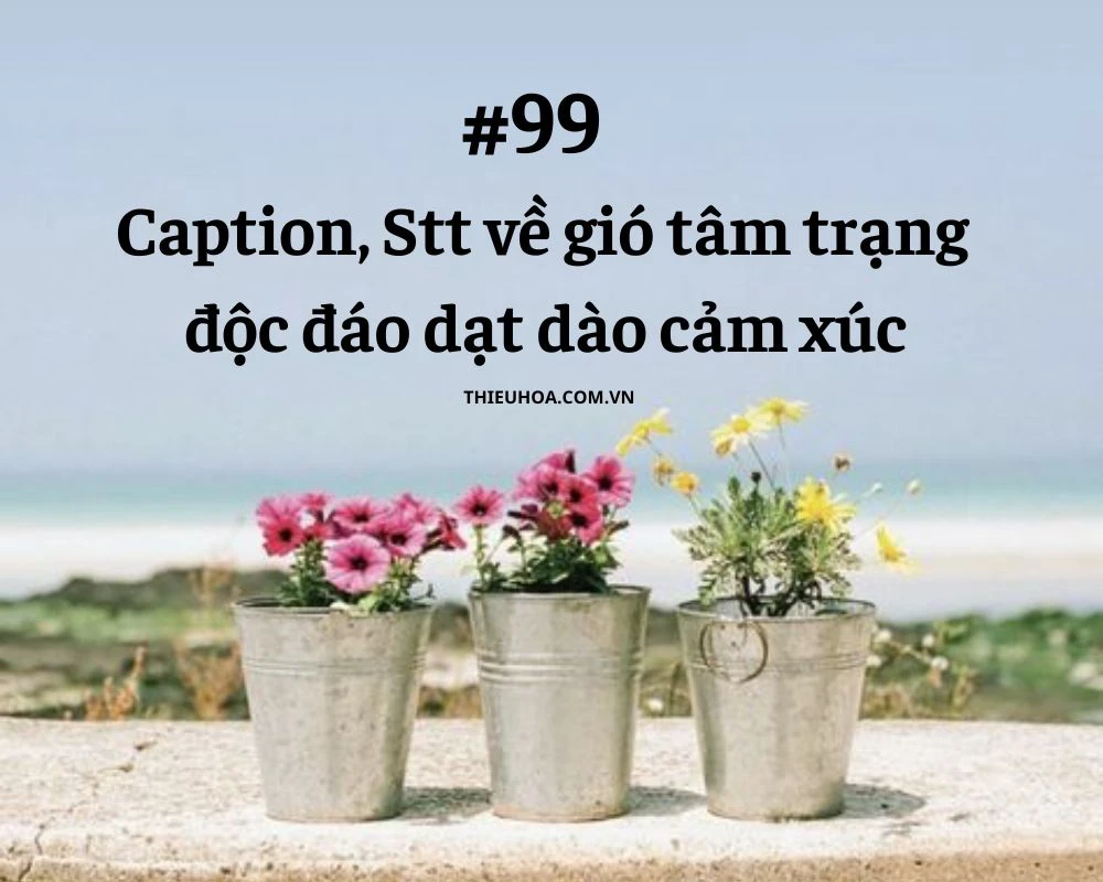 #99 Caption, Stt về gió tâm trạng độc đáo dạt dào cảm xúc