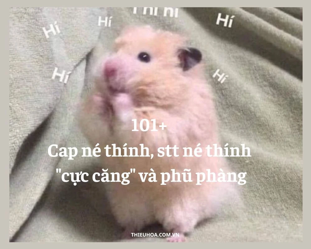 101+ Cap né thính, stt né thính "cực căng" và phũ phàng