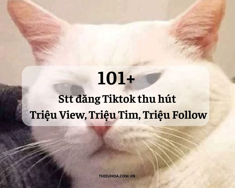 101+ Stt đăng Tiktok thu hút Triệu View, Triệu Tim