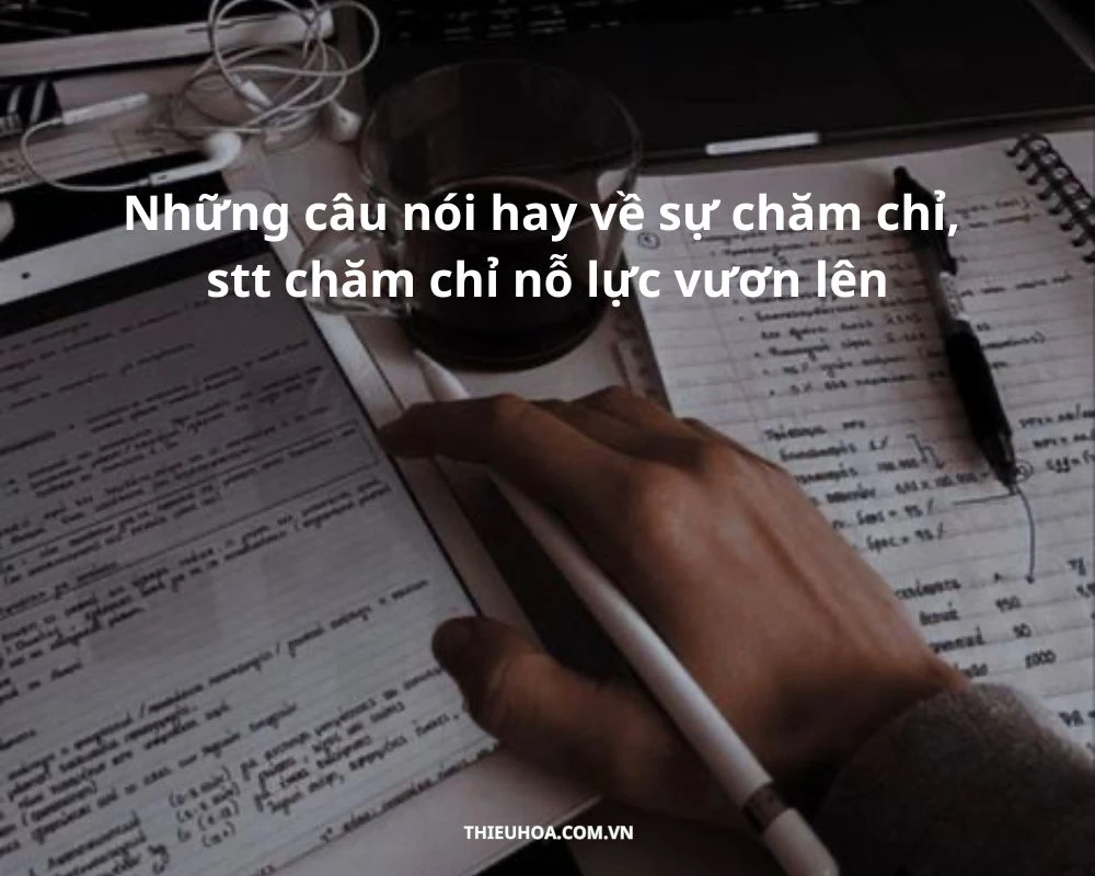 Những câu nói, stt hay về sự chăm chỉ nỗ lực vươn lên