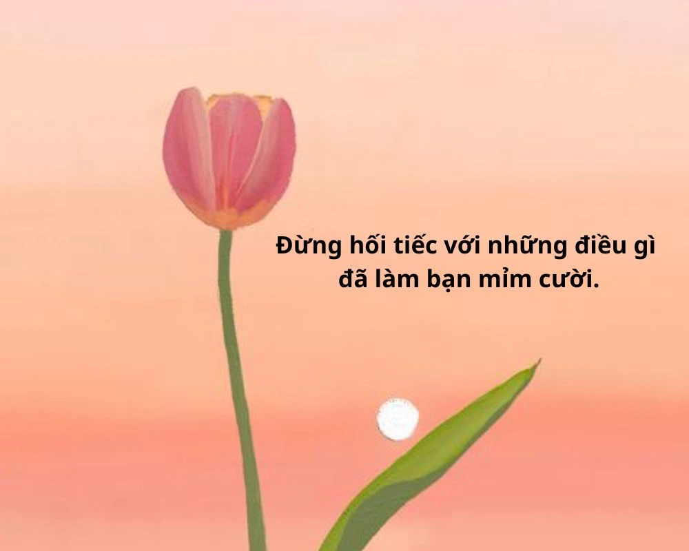 Cap để tiểu sử hay ngắn gọn 