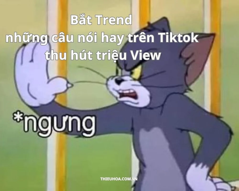 Bắt Trend những câu nói hay trên Tiktok thu hút triệu View