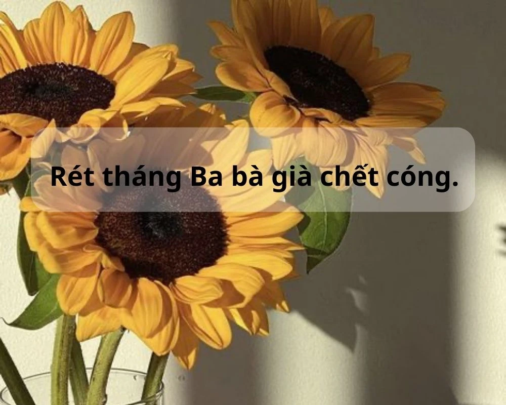 Những câu thành ngữ về mùa xuân nổi tiếng