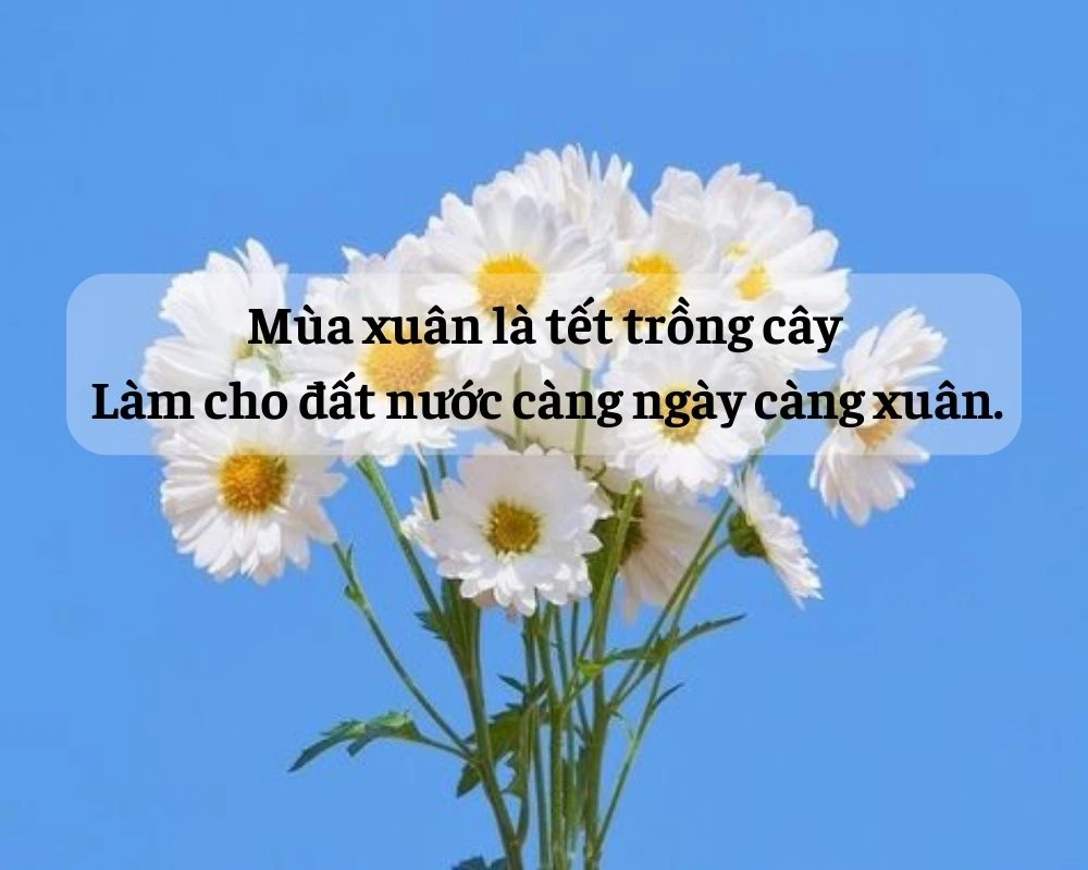 Câu ca dao tục ngữ về mùa xuân hay nhất