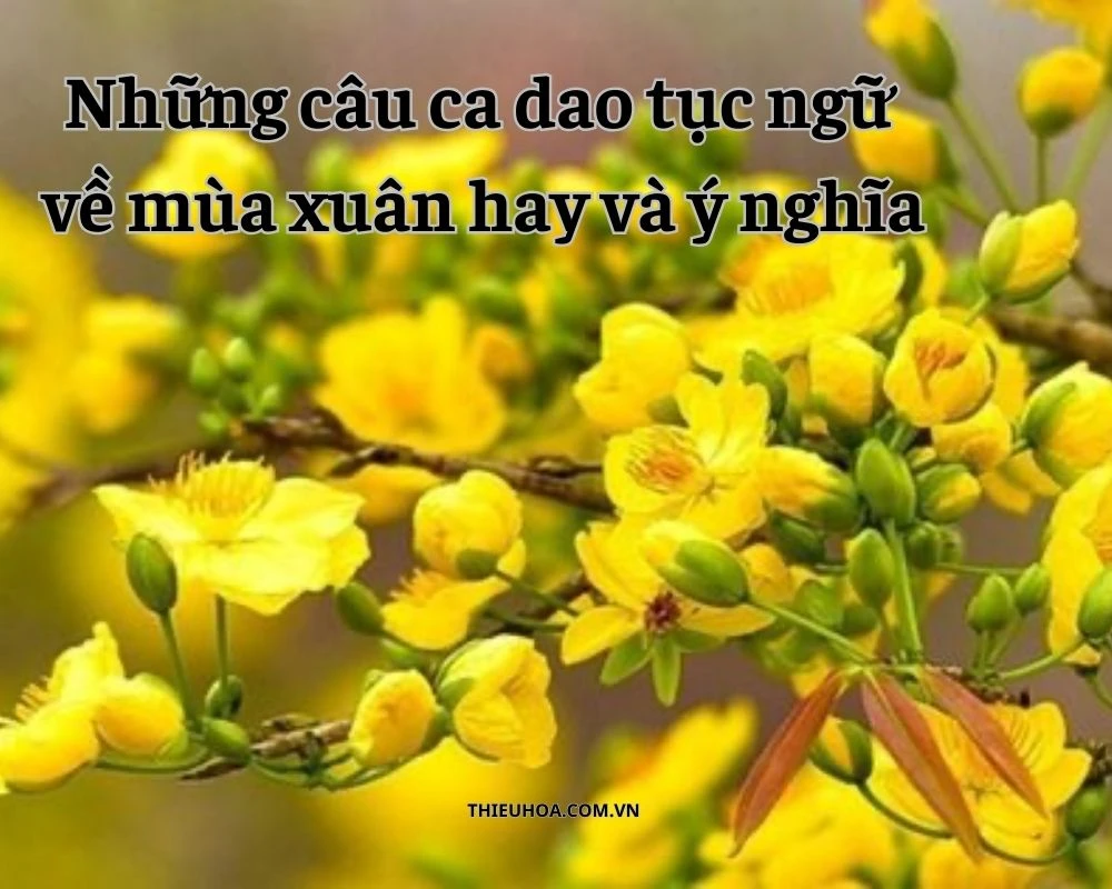 Những câu ca dao tục ngữ về mùa xuân hay và ý nghĩa