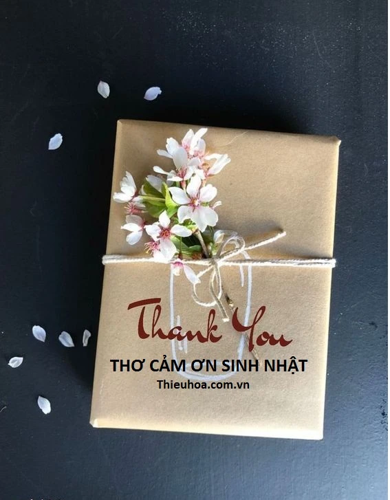 TẬP thơ cảm ơn sinh nhật hay, ngắn gọn và ý nghĩa nhất