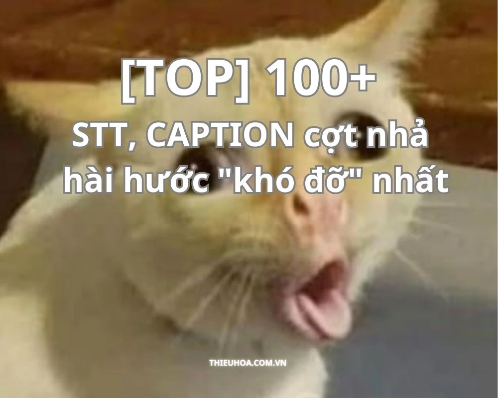 [TOP] 100+ STT, CAPTION cợt nhả hài hước "khó đỡ" nhất