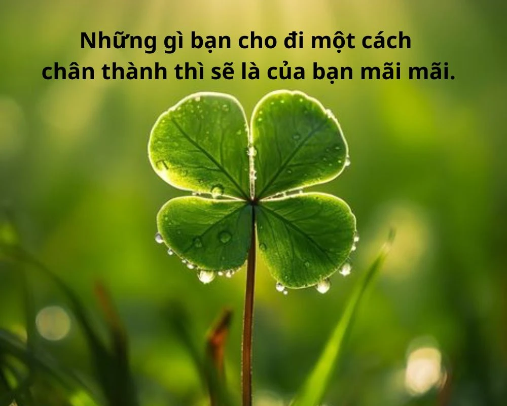 Cap để tiểu sử cực chất và bá đạo