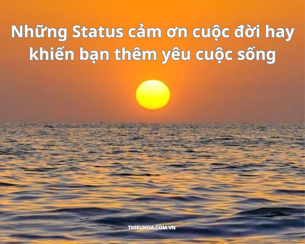 Những Status cảm ơn cuộc đời hay khiến bạn thêm yêu cuộc sống