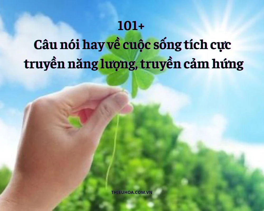 101+ Câu nói hay về cuộc sống tích cực truyền động lực hay