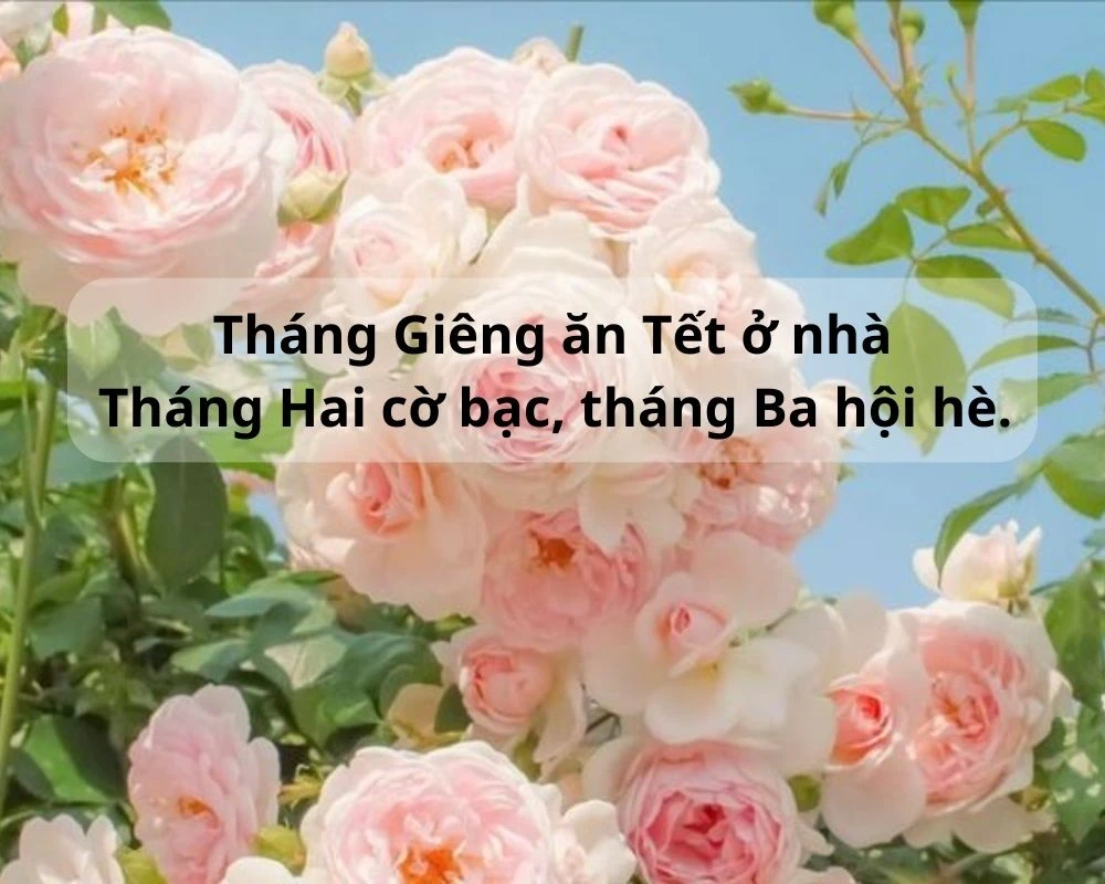 Ca dao tục ngữ về lễ hội mùa xuân hay đặc sắc