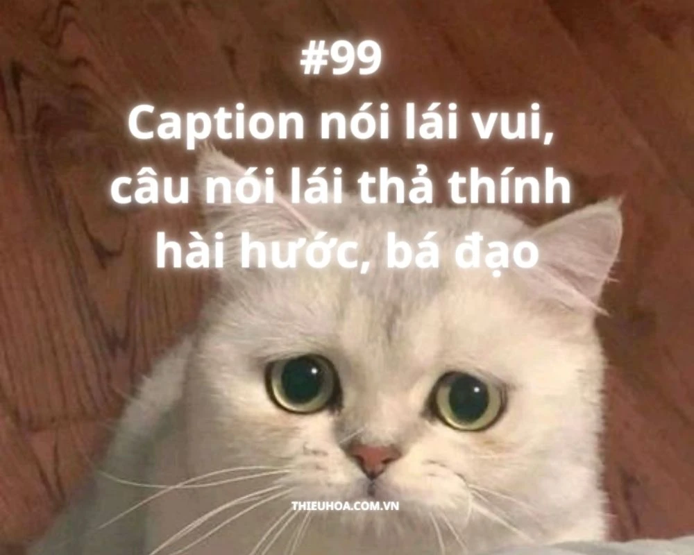 #99 Caption nói lái vui, câu nói lái thả thính hài hước