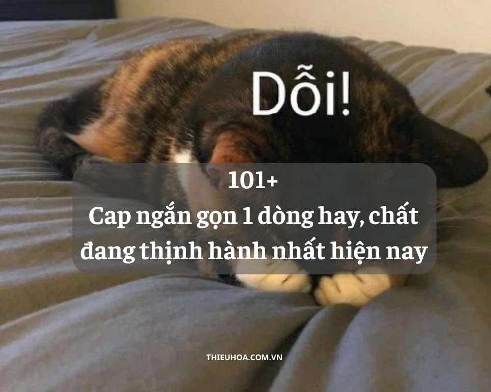 101+ Cap ngắn gọn 1 dòng hay, chất đang thịnh hành nhất