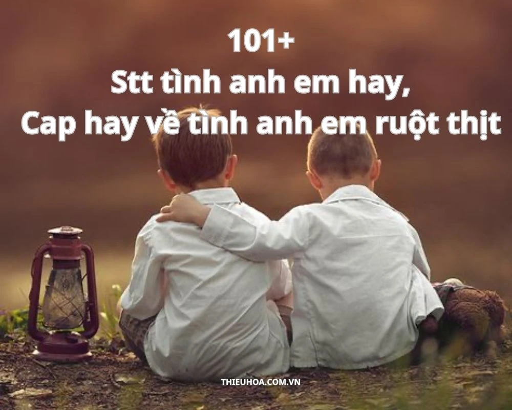 101+ Stt tình anh em hay, Cap hay về tình anh em ruột thịt