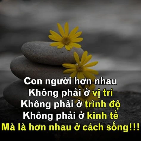 Những câu nói hay về khiêm tốn cực thấm