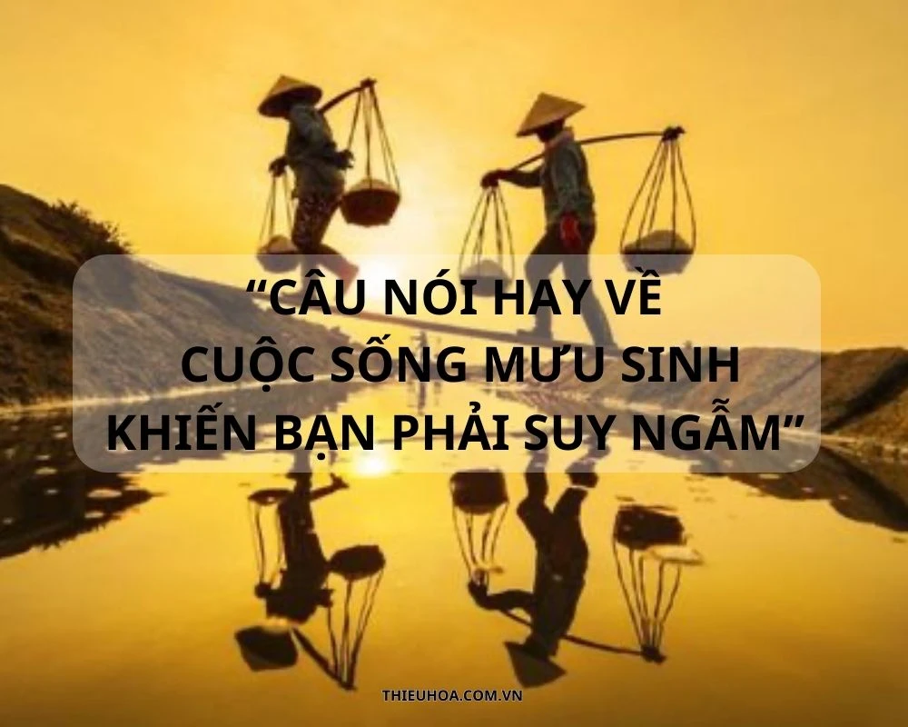 Tổng hợp câu nói hay về cuộc sống mưu sinh đáng suy ngẫm