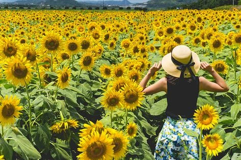 Stt yêu đời yêu bản thân