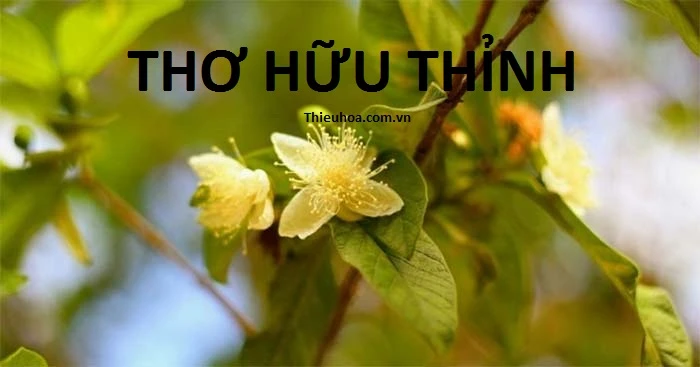 Thơ Hữu Thỉnh tuyển tập những bài thơ hay đi cùng năm tháng