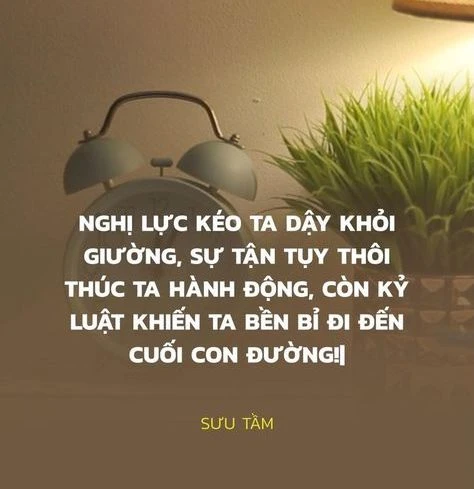 Những câu nói truyền động lực học tập làm thay đổi trong cuộc đời