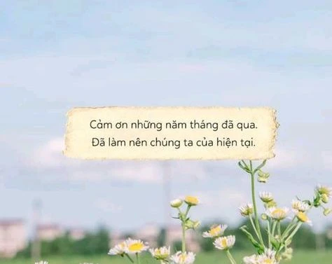 1000+ Cap Tiktok hay dễ lên xu hướng thu hút Triệu Tim