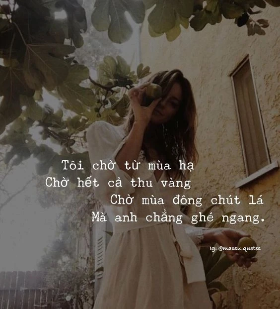 Stt, Cap hay về mùa thu 