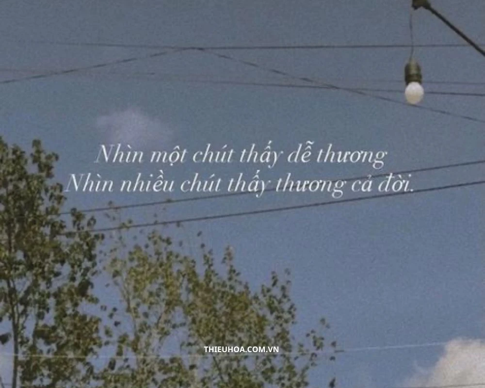 [TOP] 200+ Stt Tiktok thả thính ngắn, hài hước, chất nhất