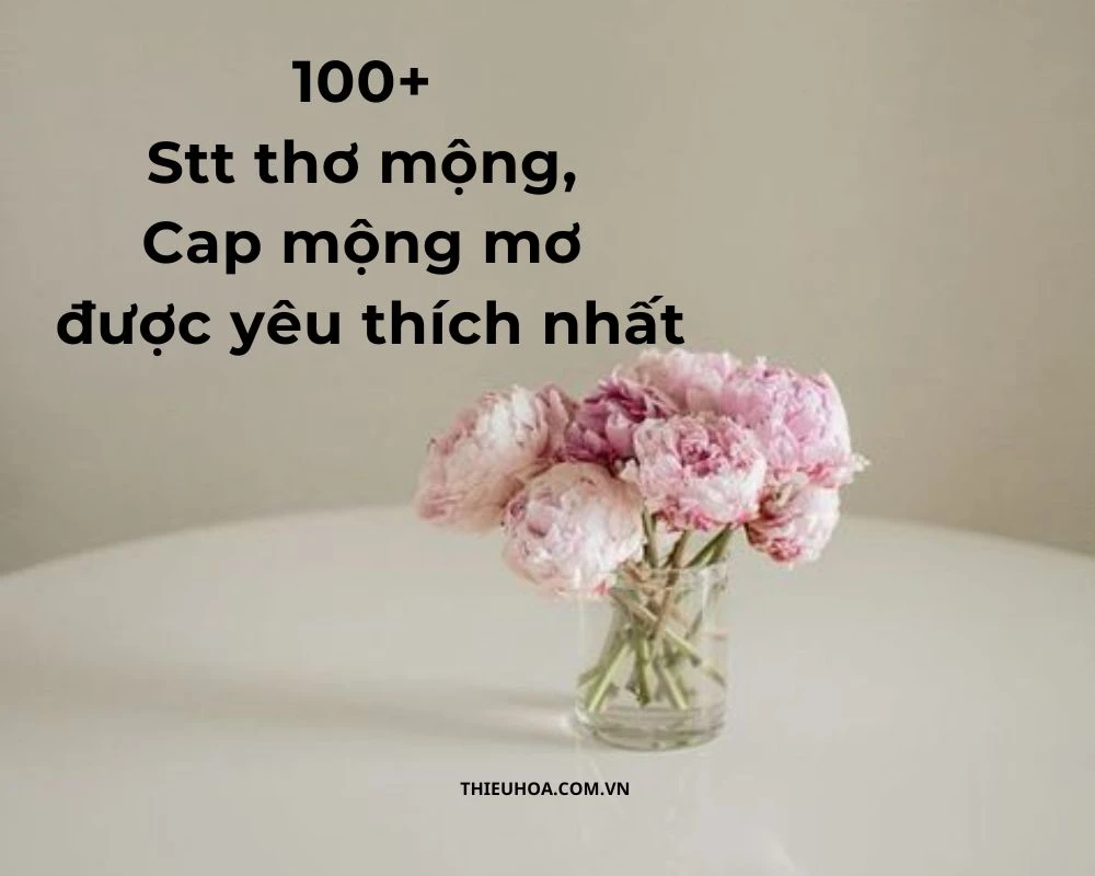 100+ Stt thơ mộng, Cap mộng mơ được yêu thích nhất