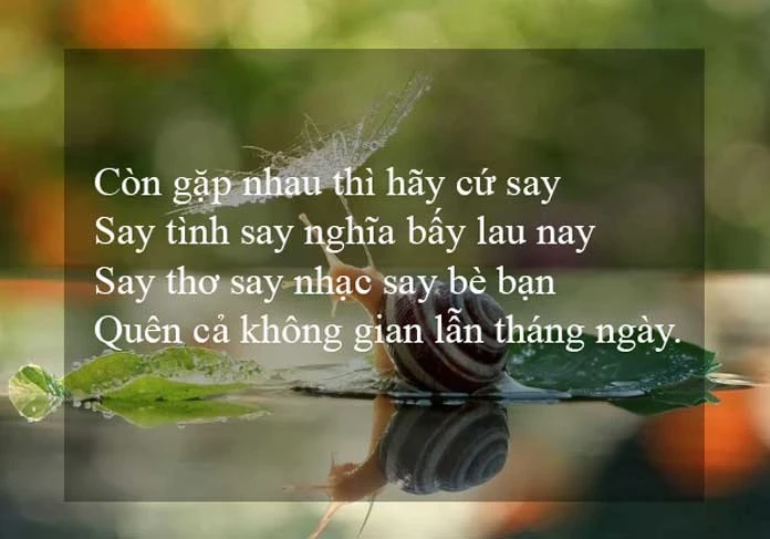 CHÙM thơ về triết lí cuộc sống, thơ hay về triết lí sống