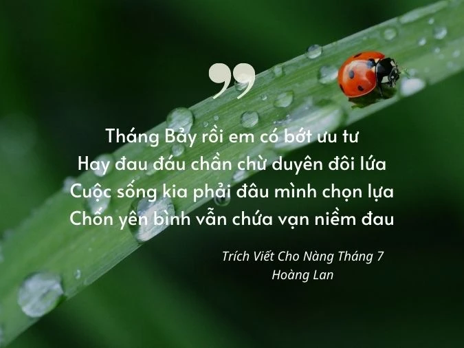 50 bài thơ tháng 7, thơ chào tháng 7, thơ tình tháng 7