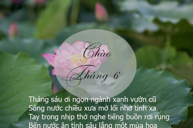 45+ bài thơ tháng 6, thơ chào tháng 6, thơ tình tháng 6