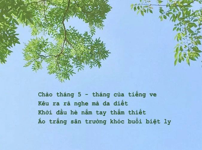 Thơ tháng 5 hay nhất, thơ tình tháng 5, thơ chào tháng 5