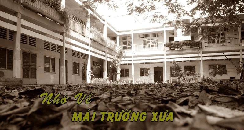 Tuyển Tập thơ về mái trường xưa, về kí ức học trò không bao giờ phai