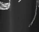 Đen