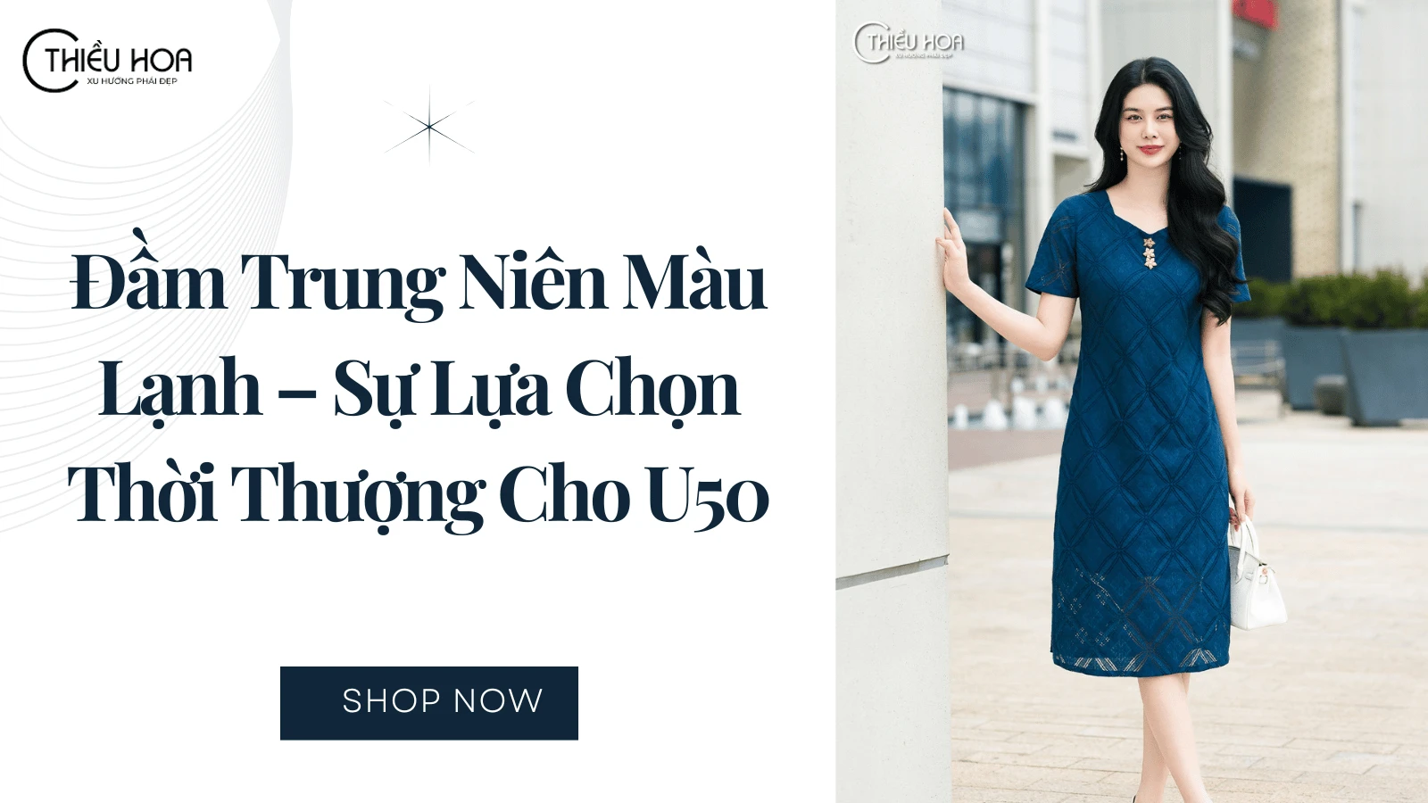 Đầm Trung Niên Màu Lạnh – Sự Lựa Chọn Thời Thượng Cho U50