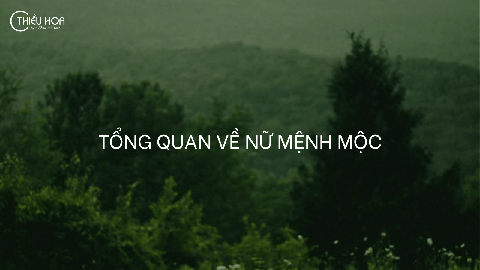 Mệnh Mộc hợp màu gì? Khám phá trang phục cho nữ mệnh Mộc gặp may mắn