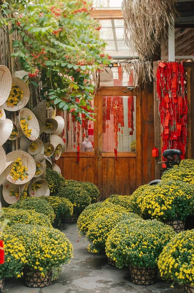quà tết biếu bố mẹ