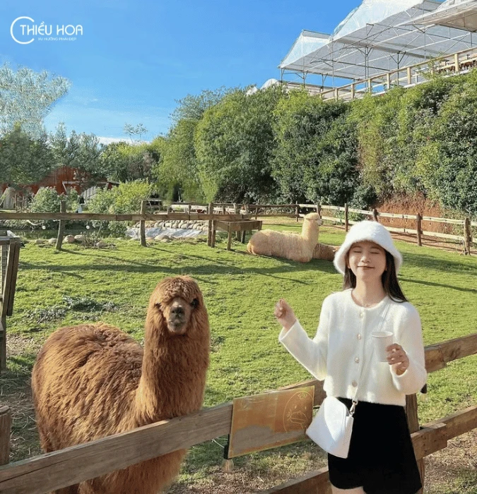 đi đà lạt mặc gì